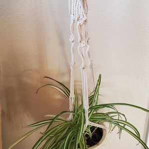 Macrame plant hanger